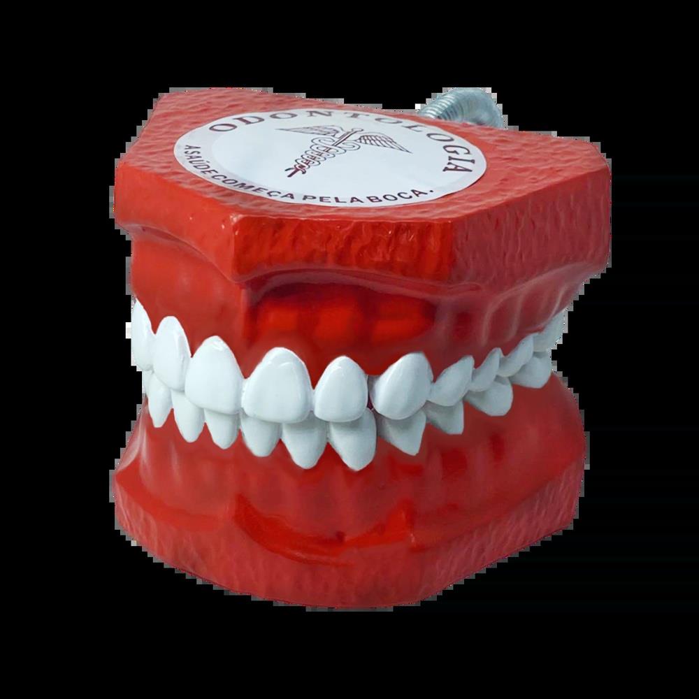 Kit Maxi Maleta Standart D Express